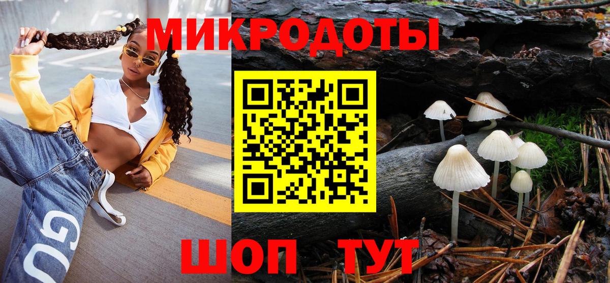 Малгобек  Галлюциногенные грибы Cubensis  Вход с VPN 