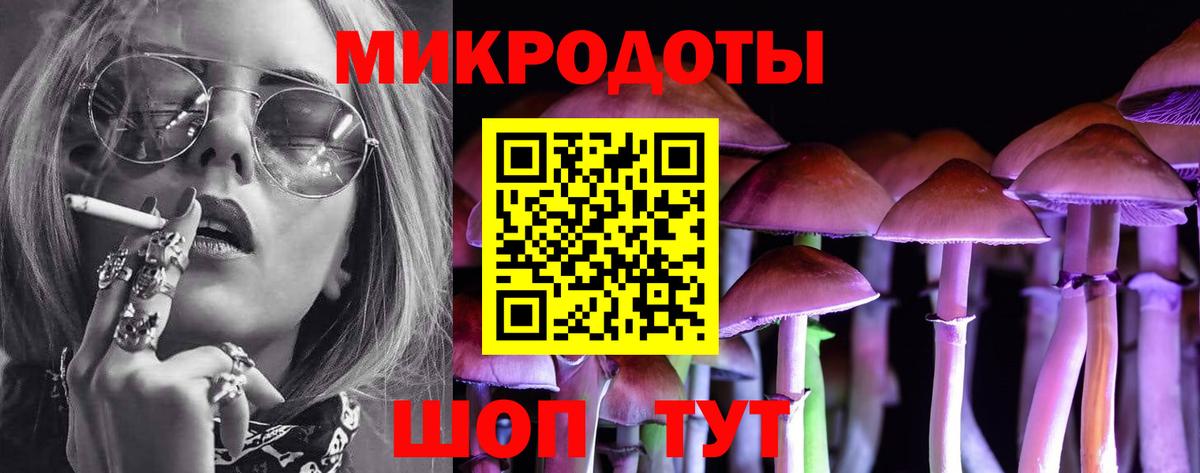Псилоцибиновые грибы Psilocybine cubensis Малгобек